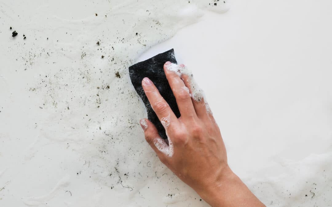 How to Prevent Mold and Moisture Damage in Tampa Bathrooms